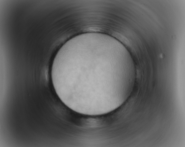 X0000093220302200710101350