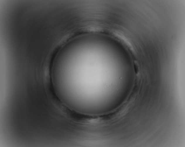 X0000093220306200710101350