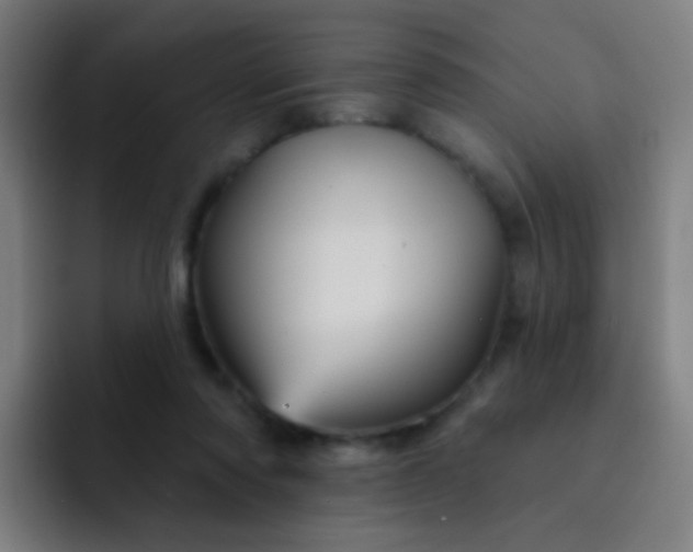 X0000093220310200710101350