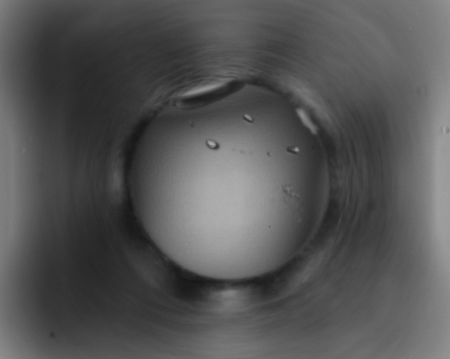 X0000093220312200710101350