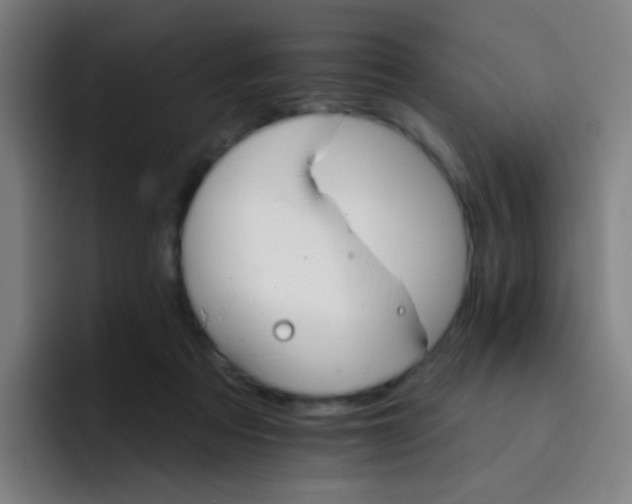 X0000093220313200710101350