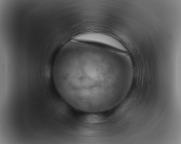 X0000093220315200710101350