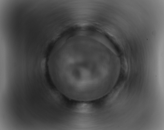 X0000093220319200710101350