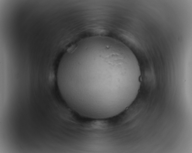 X0000093220320200710101350