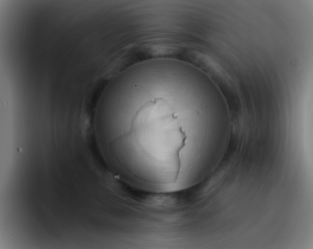 X0000093220327200710101350