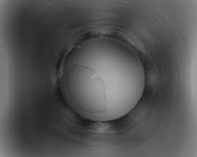 X0000093220328200710101350