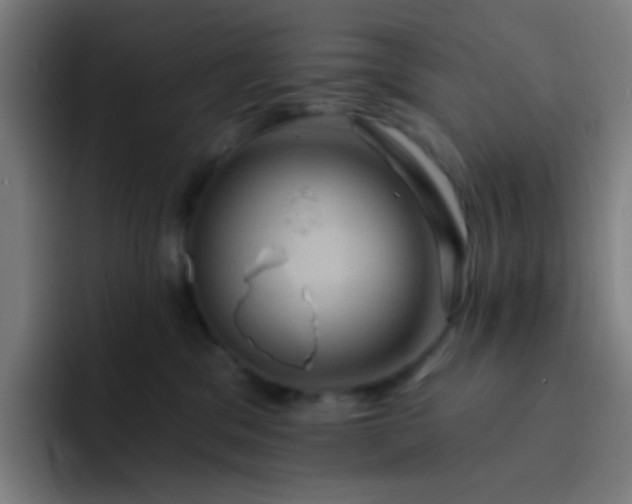 X0000093220329200710101350