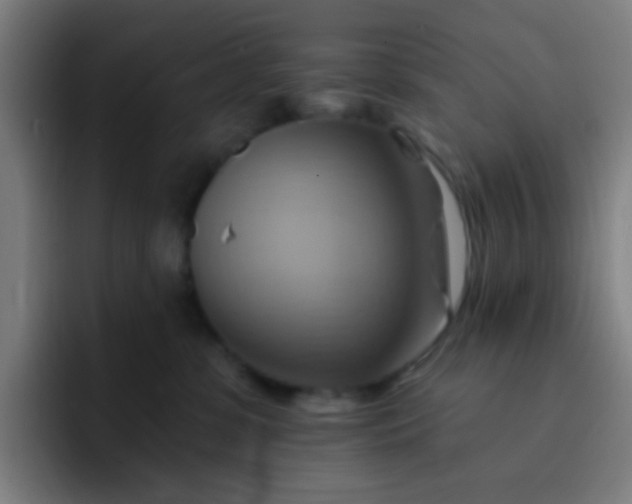 X0000093220331200710101350