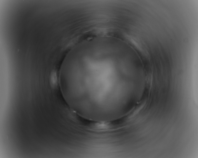 X0000093220335200710101350