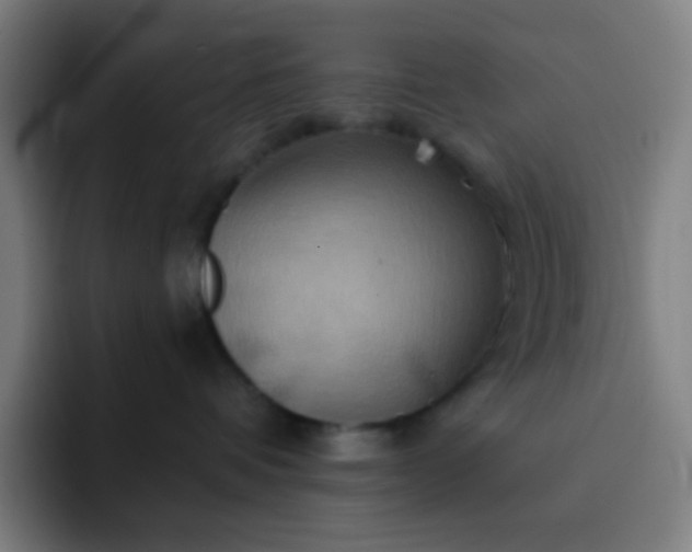 X0000093220336200710101350