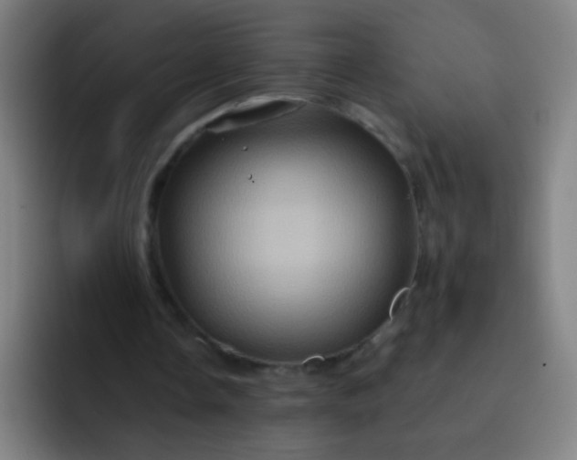 X0000093220338200710101349