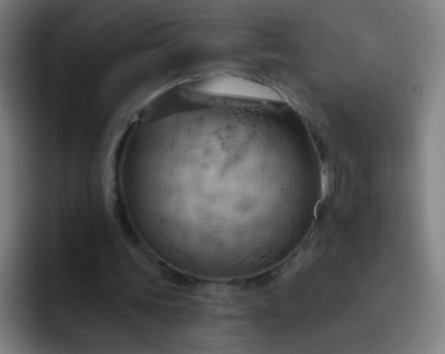 X0000093220339200710101349