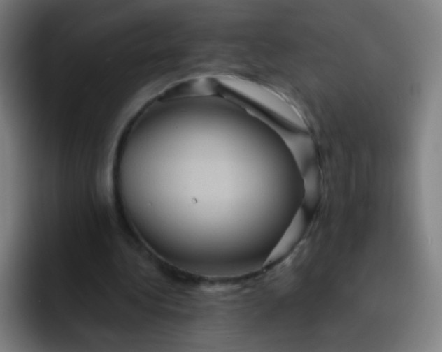 X0000093220340200710101349