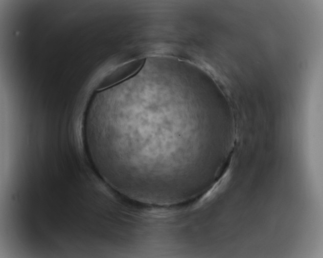 X0000093220341200710101349