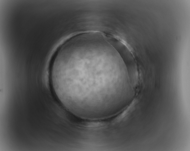 X0000093220342200710101349