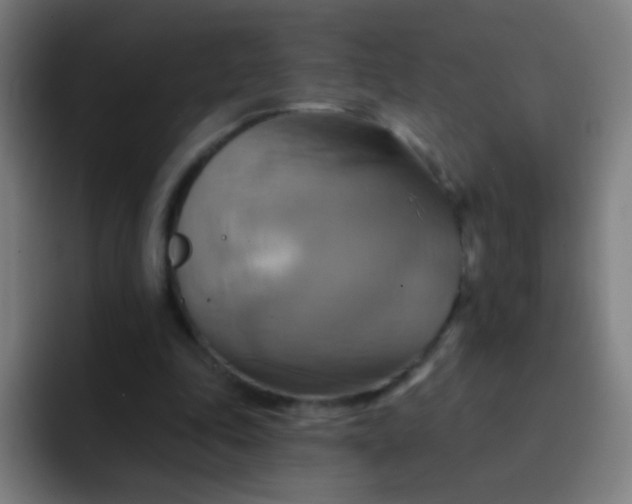 X0000093220343200710101349