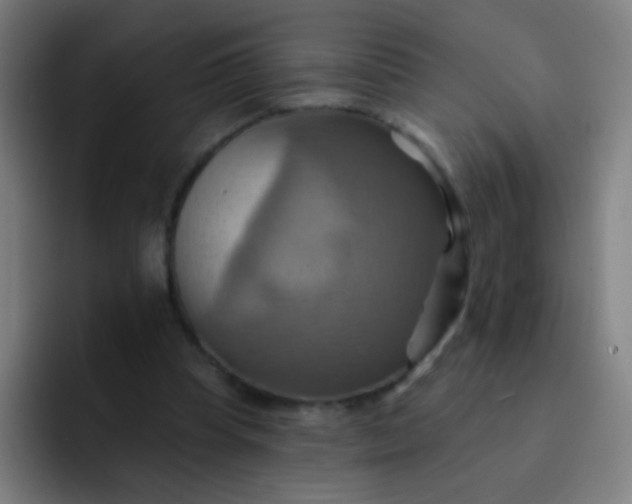 X0000093220345200710101349