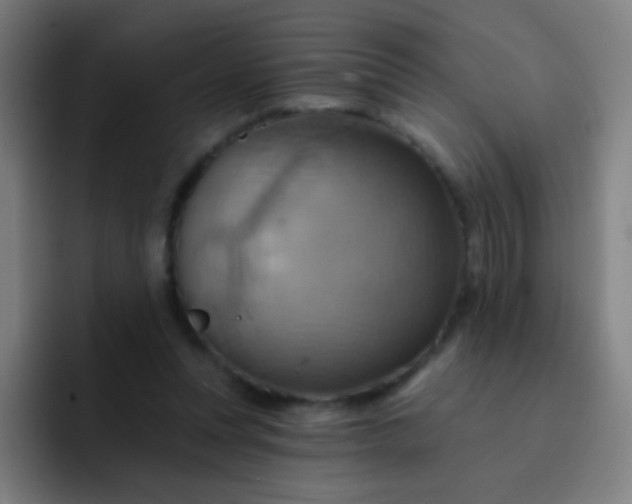 X0000093220351200710101349