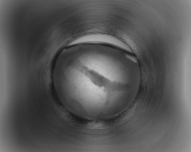 X0000093220354200710101349