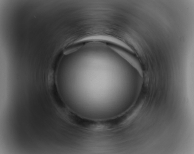 X0000093220356200710101349