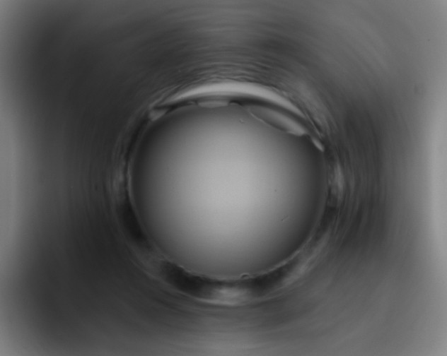 X0000093220360200710101349