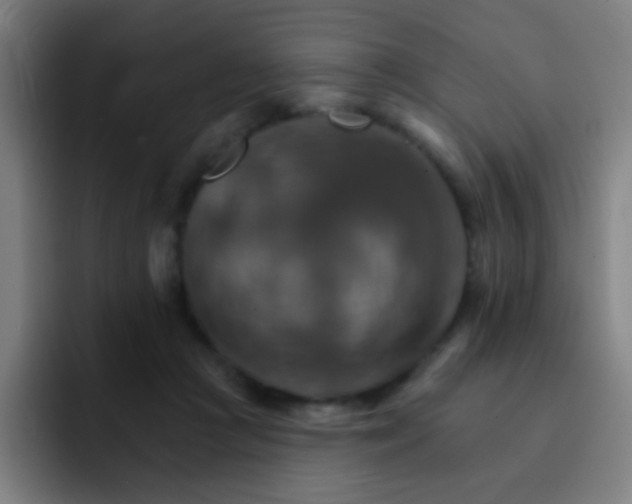 X0000093220361200710101349