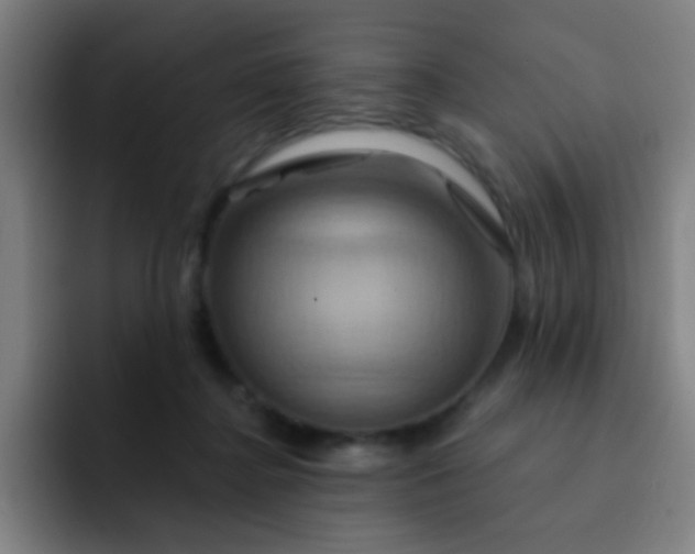 X0000093220364200710101349