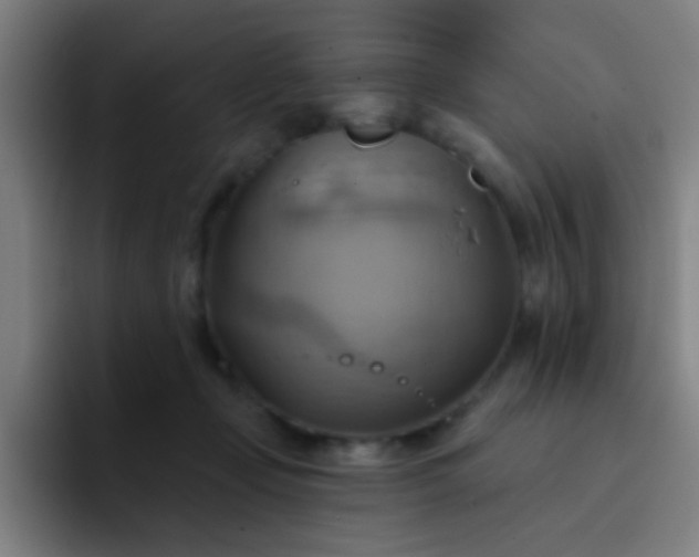 X0000093220365200710101349