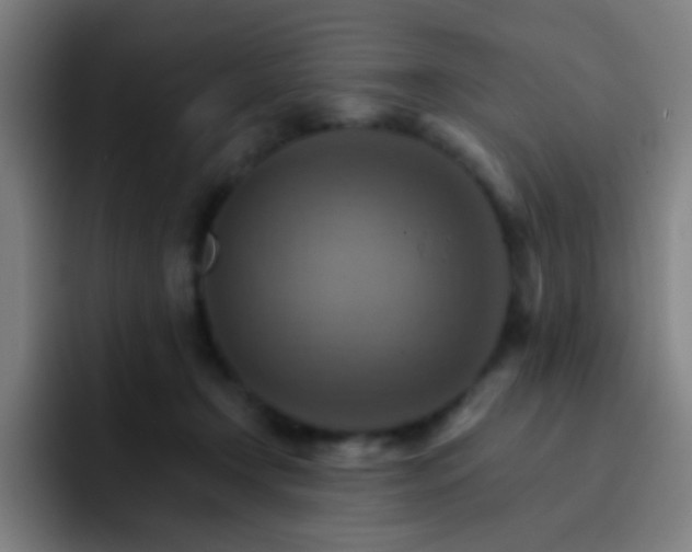 X0000093220366200710101349