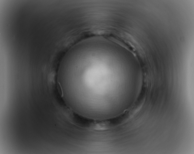 X0000093220368200710101349