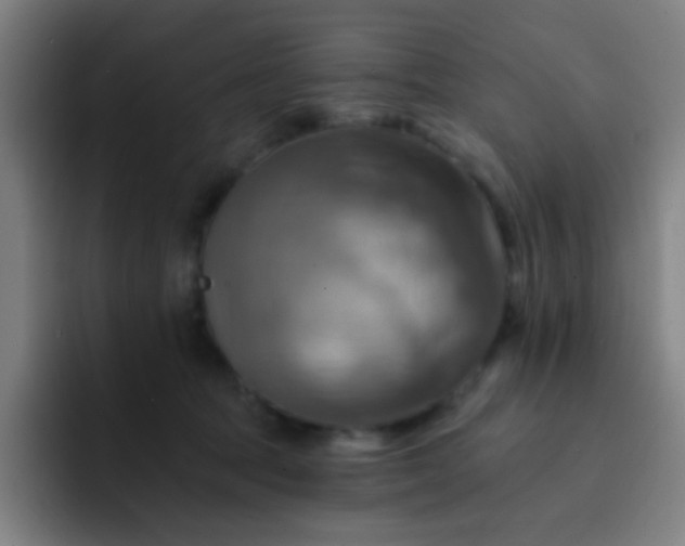 X0000093220369200710101349