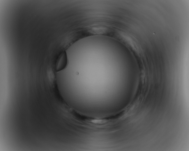 X0000093220371200710101349