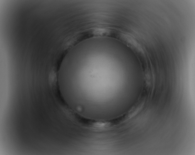 X0000093220375200710101349