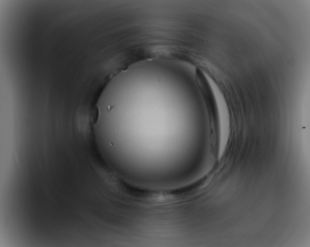 X0000093220379200710101350