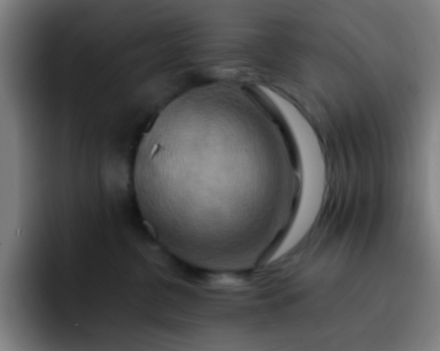 X0000093220380200710101350