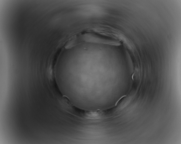 X0000093220381200710101350