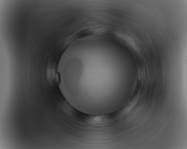 X0000093220382200710101350