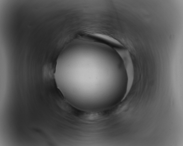 X0000093220384200710101350