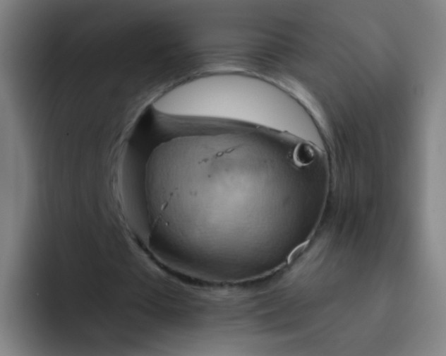 X0000093220385200710101349