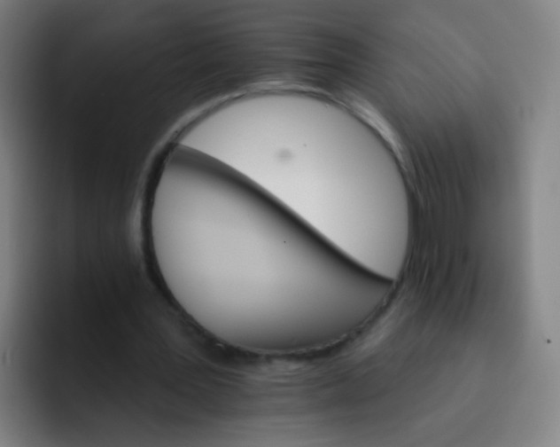 X0000093220387200710101349