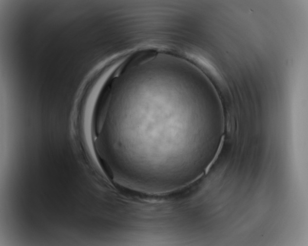 X0000093220388200710101349