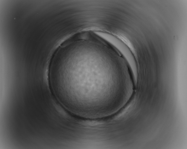 X0000093220389200710101349