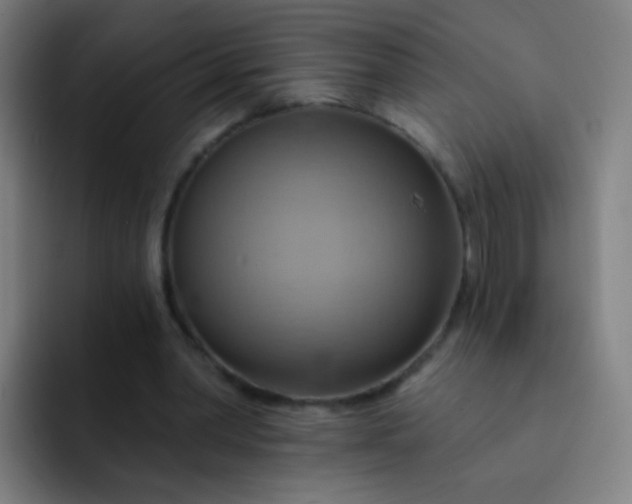 X0000093220390200710101349