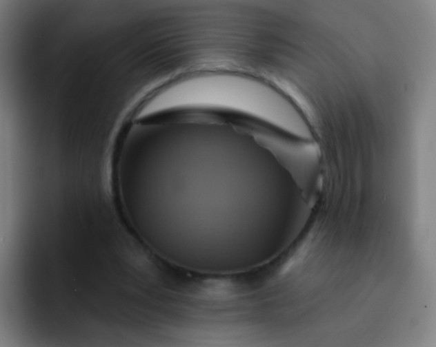 X0000093220391200710101349