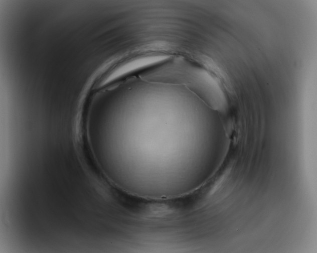 X0000093220392200710101349