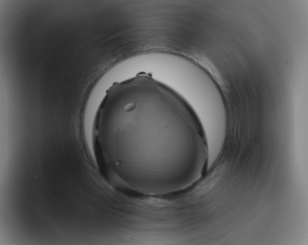 X0000093220393200710101349