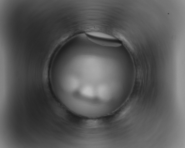 X0000093220394200710101349