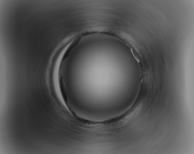 X0000093220395200710101349