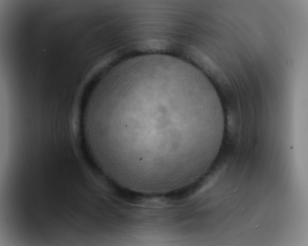 X0000093220396200710101349