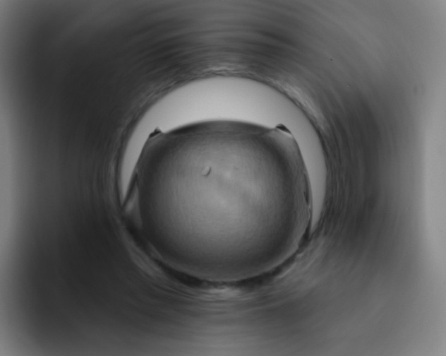 X0000093220397200710101349